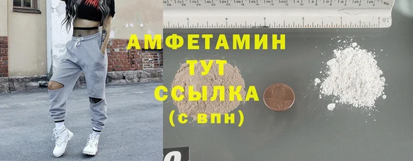 спиды Вяземский