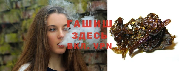спиды Вяземский