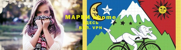 спиды Вяземский